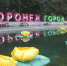 Концепцию фестиваля «Город-Сад» разработают за 2 млн рублей - Городская справка 077