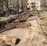 В Воронеже приступили к благоустройству дворов в рамках нацпроекта - Администрация г. Воронеж