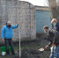 420 кустарников и два дерева посадили на территории школы в Воронеже - Voronezh-News.Net