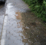 Тротуар ушел под воду в воронежском дворе из-за скрытой утечки - Voronezh-News.Net