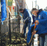 В Россошанском районе в рамках местного партпроекта провели озеленение территорий рядом с ФАПом и мемориалом - Единая Россия