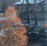 Ради частной парковки в Воронеже уничтожили сквер с деревьями - Voronezh-News.Net