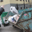 За наполняемостью мусорных контейнеров в Воронеже проследят по камерам - РИА Воронеж
