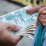 Компанию члена общественного совета ФНС Евгения Хамина заподозрили в уклонении от уплаты налогов - Voronezh-News.Net