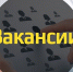 Воронежцам предложили зарабатывать на удалёнке 300 тыс. в месяц - Voronezh-News.Net