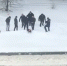 В соцсетях появилось видео, как обвиняемого в убийстве воронежской учительницы привезли на место расправы - Voronezh-News.Net