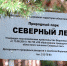 В Воронеже ищут подрядчика для проектирования «Северного леса» - Городская справка 077
