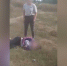 Под Воронежем девушка пойдёт под суд за слитое видео с избитой голой школьницей - ГТРК Воронеж