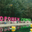 «Город-Сад» вернется в Воронеж в офлайн-формате - Voronezh-News.Net