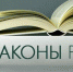 Чиновникам запретят иметь двойное гражданство - Vvoronezhe.Ru