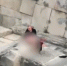Уголовное дело возбудили в отношении жителя Воронежа за повреждение памятника в Новороссийске - Voronezh-News.Net