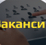 Вакансию с зарплатой до 500 тысяч рублей нашли в Воронежской области - Обозреватель.Врн