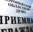 Воронежская Облдума вновь приостановила личный приём граждан - МОЁ! Online