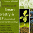 Наша команда Green Spot стала победителем международного конкурса Urban Greenhouse Challenge: Reforest - ВГЛТУ