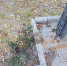 Позорную мусорку под окнами БСМП воронежцы записали на видео - Bloknot-Voronezh.Ru