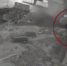 В Воронеже подозрительный парень напал на двух девочек: появилось видео - ГТРК Воронеж