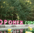 До 300 охранников будут следить за порядком на фестивале «Город-Сад» в Воронеже - Voronezh-News.Net