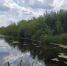 В Воронежской области обмелели реки - Городская справка 077