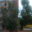 Воронежцы пожаловались на кирпичи, падающие на газовую трубу - ГТРК Воронеж