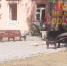 Тело голого мужчины обнаружили в Воронеже у многоэтажки - Voronezh-News.Net