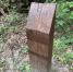 Вандалы украли указатели с Большой воронежской экотропы - TV-Gubernia.Ru