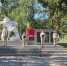 Знак памяти и гордости - Галерея Чижова