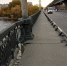 В Воронеже разрушилась пешеходная часть Северного моста - ГТРК Воронеж