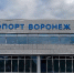 У 37 прилетевших в Воронеж из-за рубежа пассажиров нашли коронавирус - Обозреватель.Врн