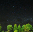 Фото: pixabay.com - МОЁ! Online