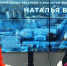 Расчистка рек и рубка деревьев. Глава департамента экологии ответила на вопросы воронежцев - РИА Воронеж