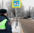 Воронежским водителям и пешеходам напомнили о взаимной вежливости - Городская справка 077