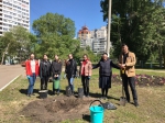 Одной строкой о школе…