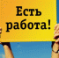 У воронежцев стало меньше вариантов для летней подработки - Обозреватель.Врн