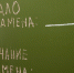 Максимальные баллы на ЕГЭ по информатике в Воронежской области набрали 4 выпускника - РИА Воронеж