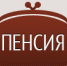Более 70% воронежцев получают пенсии через кредитные организации - ПФРФ