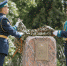 В Воронеже возведут часовню в память о героях Великой Отечественной войны - Обозреватель.Врн