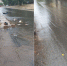 «Отреагируйте кто-нибудь!»: вода 2 дня хлещет из колодцев в Коминтерновском районе Воронежа - МОЁ! Online