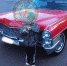 Фотосессии с роскошным Cadillac из прошлого устроили воронежцы в Юго-Западном микрорайоне - Bloknot-Voronezh.Ru