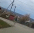 Стремительно галопирующего лося, бегущего по Борисоглебску, сняли на видео - Bloknot-Voronezh.Ru