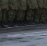 Воронежские призывники получили право досрочно выйти на пенсию - ГТРК Воронеж