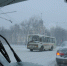 Маршрутки будут ходить в Воронеже в новогоднюю ночь - МОЁ! Online