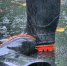 В Воронеже школьники перебрались через огромную лужу по забору: появилось видео - ГТРК Воронеж