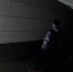 Вандальный кураж молодежи сняли в подземном переходе в Воронеже - Bloknot-Voronezh.Ru