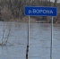 В Грибановском районе 3 низководных моста затопило - РИА Воронеж