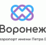 Воронежский аэропорт обзавелся новым логотипом - Городская справка 077