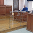 Почему в Воронежской области сопротивление оказывали даже дети - Bloknot-Voronezh.Ru