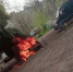 В Воронеже сгорел автомобиль: появилось видео - ГТРК Воронеж