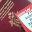 Завершено расследование уголовного дела по обвинению ветеринарного врача в получении взяток - Следственный комитет