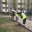 Ленинский район Воронежа принял участие в марафоне чистоты - ВестиПК в Воронеже