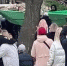 Видео спасения воронежского кота с дерева стало общероссийским мемом - РИА Воронеж